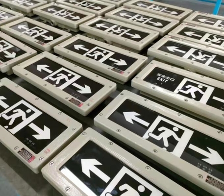 Ra≥70 5000K IP66 Lampada di emergenza a prova di esplosione Indicatore di uscita di sicurezza incorporato
